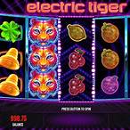 electric tiger slot machine